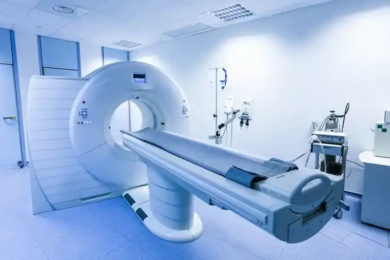 Cat Scans in Hollywood Florida