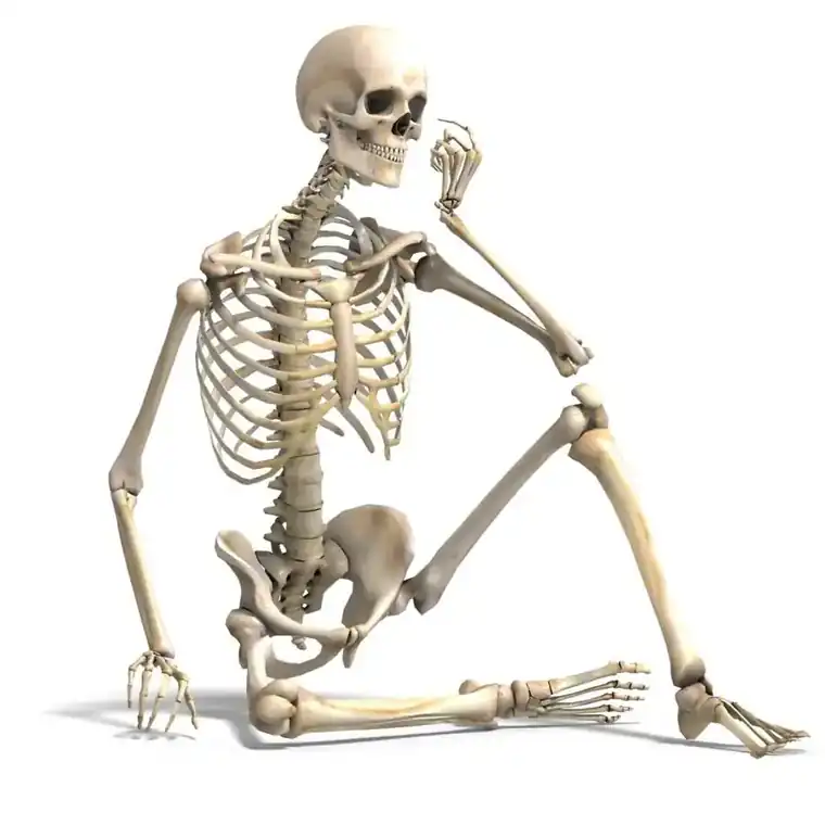 Is Osteoporosis Reversible?