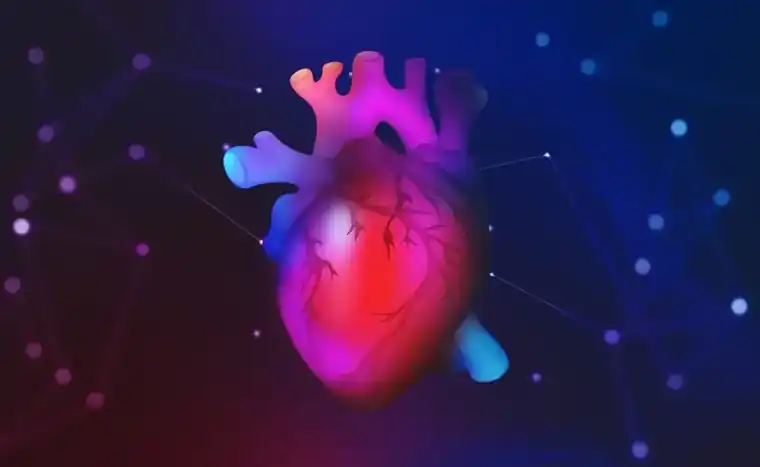 How an MRI Can Detect a Cardio Problem