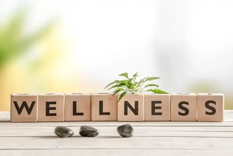 Hollywood Diagnostics; The South Florida Diagnostic Facility That Revolutionizes Wellness