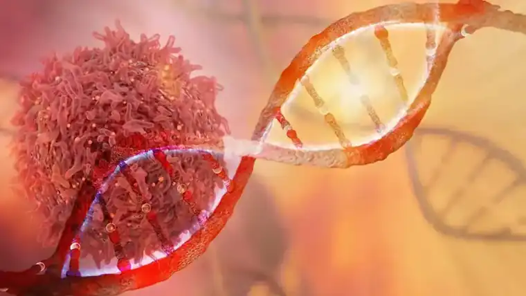 How Diagnostic Imaging Shapes Oncology Treatment Plans