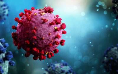 COVID-19 Lung Involvement on CT Scans Helps Predict Mortality Risks