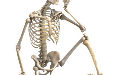 Is Osteoporosis Reversible?